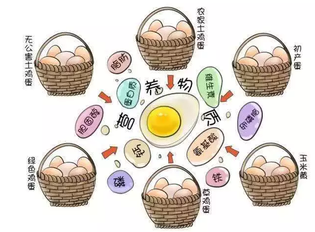 遍尋菜譜收集的雞蛋7中新吃法，第2中最好，第7中最營(yíng)養(yǎng)